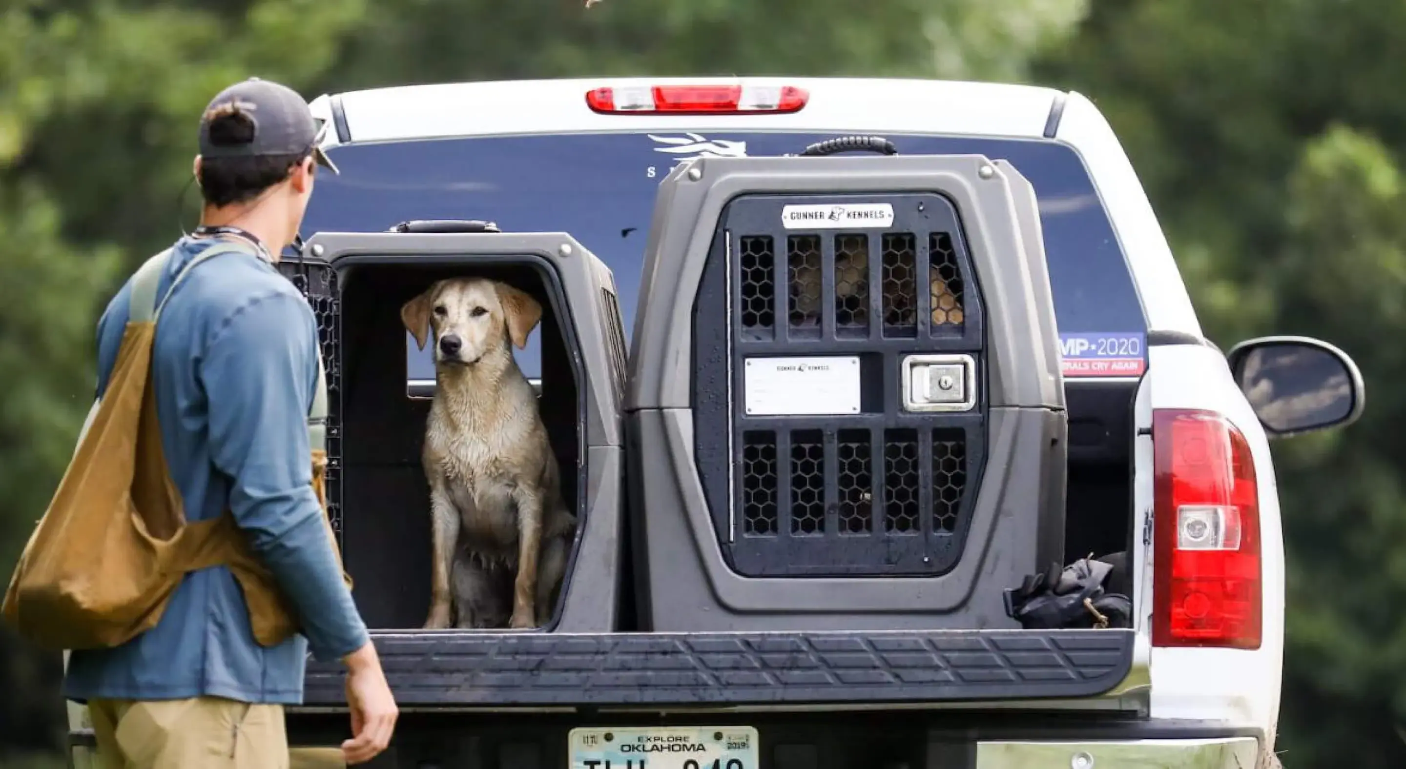 Gunner Kennels case-study imagery